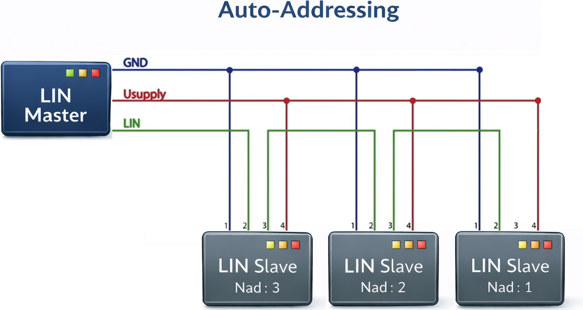Schéma de l'adressage automatique LIN : un maître LIN alimente trois esclaves via GND, Usupply et la ligne LIN ; chaque esclave reçoit son adresse NAD 1 à 3 selon sa position